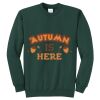 Fleece Crewneck Sweatshirt  Thumbnail